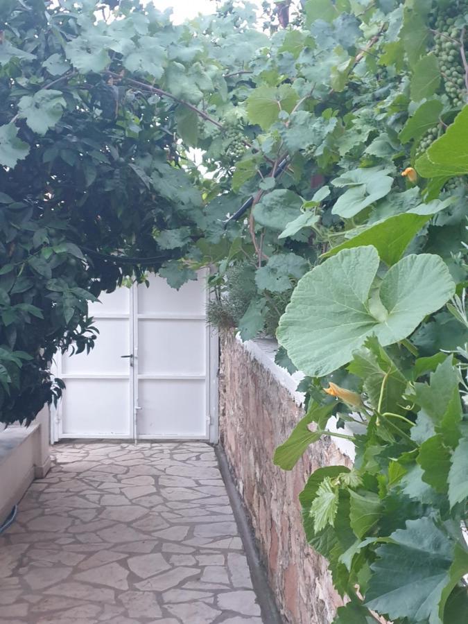 Rosemary House Guest House ซารานเดอ ภายนอก รูปภาพ